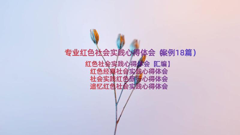 专业红色社会实践心得体会（案例18篇）