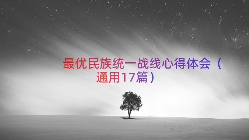 最优民族统一战线心得体会（通用17篇）