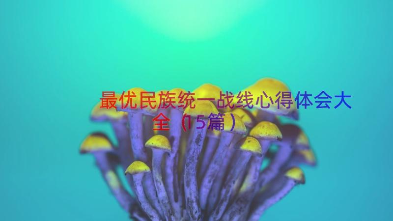 最优民族统一战线心得体会大全（15篇）