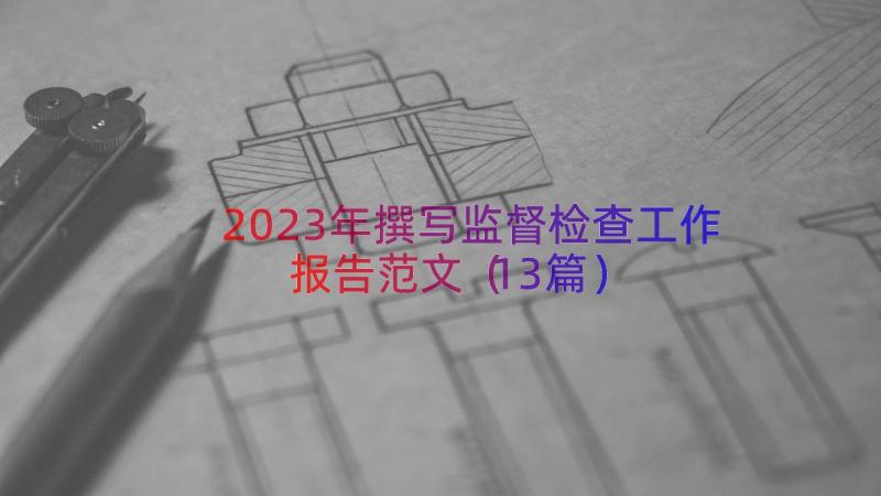 2023年撰写监督检查工作报告范文（13篇）