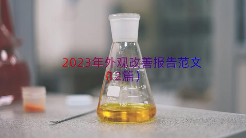 2023年外观改善报告范文（12篇）