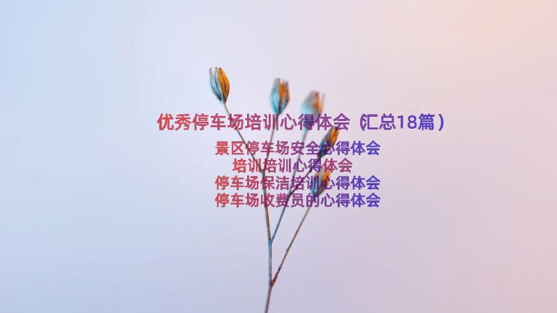 优秀停车场培训心得体会（汇总18篇）