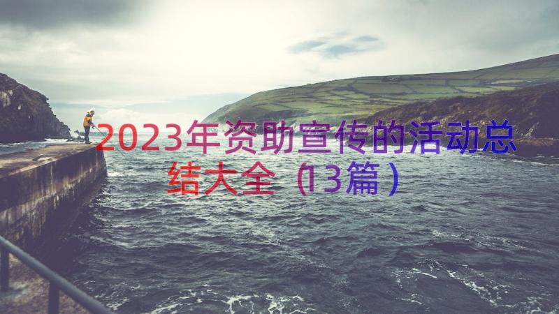 2023年资助宣传的活动总结大全（13篇）