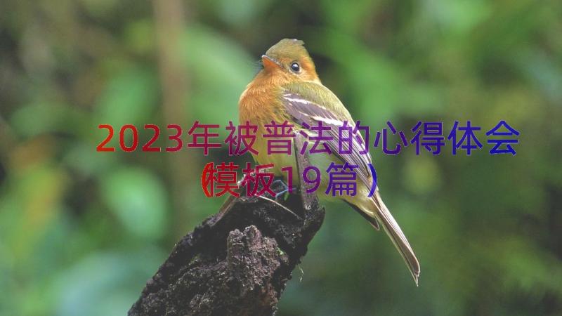 2023年被普法的心得体会（模板19篇）