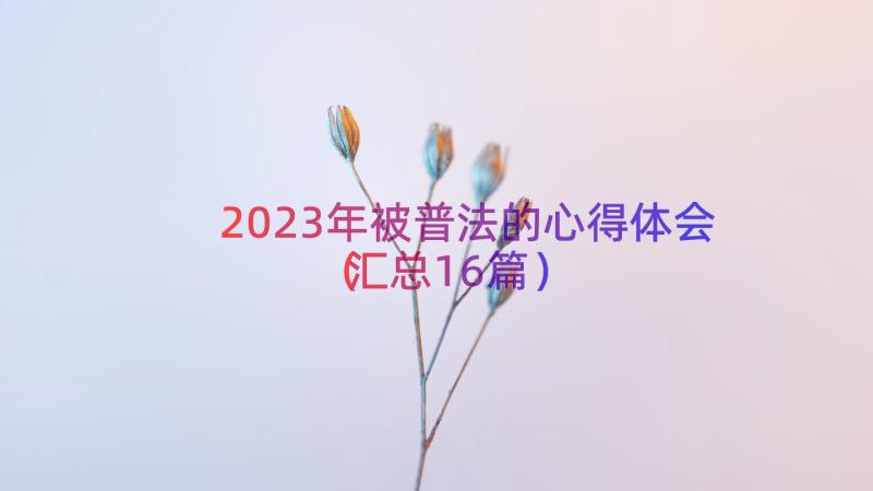 2023年被普法的心得体会（汇总16篇）