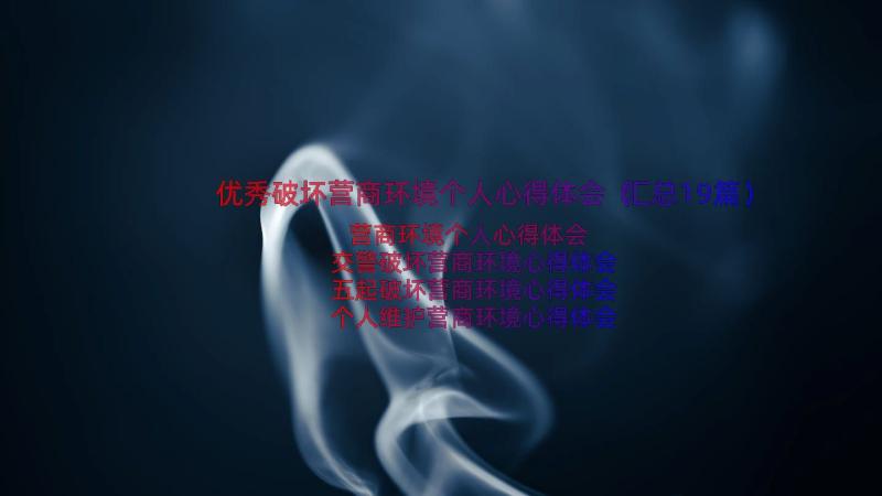 优秀破坏营商环境个人心得体会（汇总19篇）