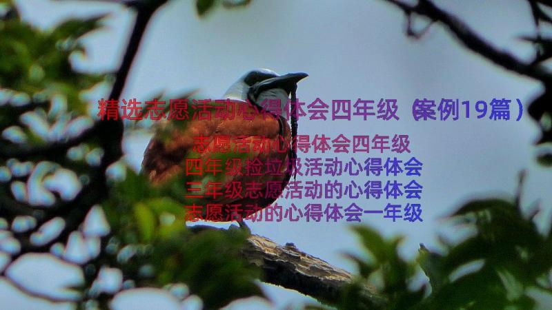 精选志愿活动心得体会四年级（案例19篇）