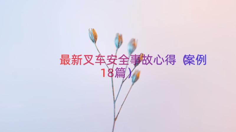 最新叉车安全事故心得（案例18篇）