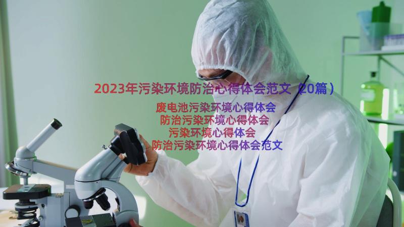 2023年污染环境防治心得体会范文（20篇）