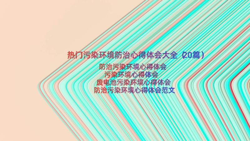 热门污染环境防治心得体会大全（20篇）