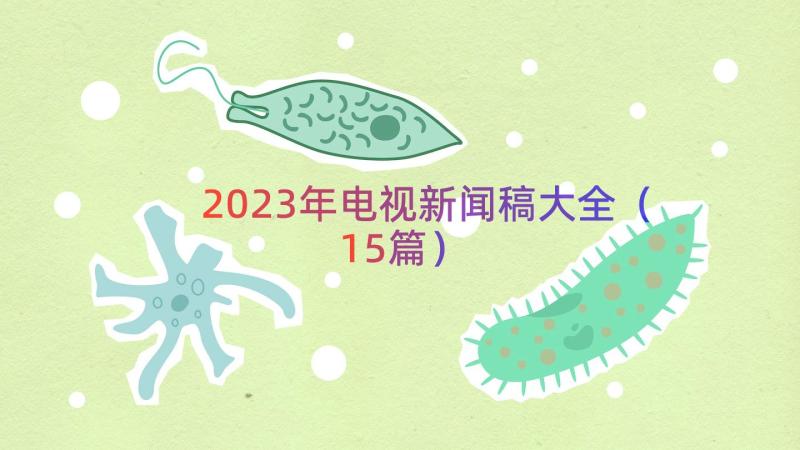 2023年电视新闻稿大全（15篇）