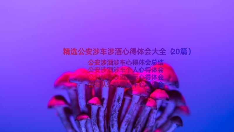 精选公安涉车涉酒心得体会大全（20篇）