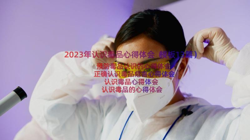 2023年认识毒品心得体会（模板13篇）