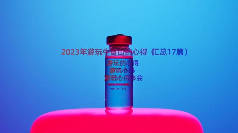 2023年游玩牛首山的心得（汇总17篇）