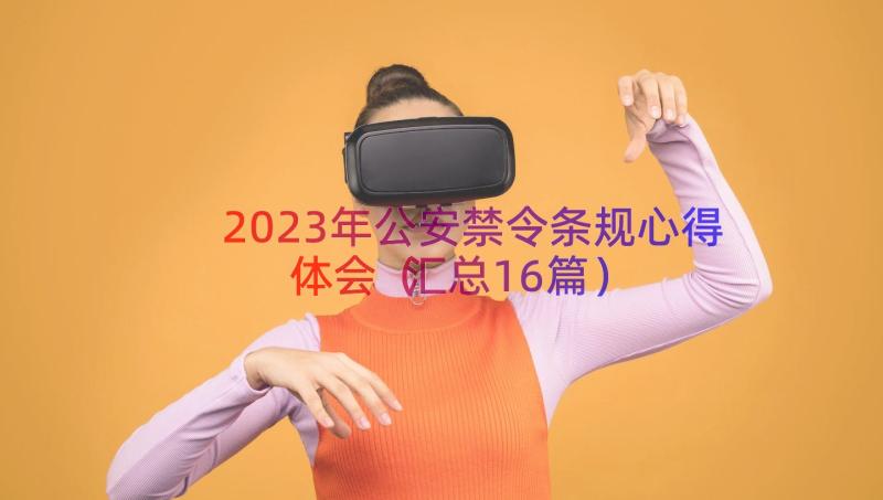 2023年公安禁令条规心得体会（汇总16篇）