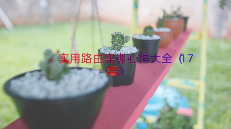 实用路由实训心得大全（17篇）