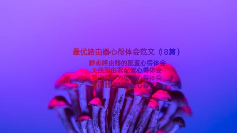 最优路由器心得体会范文（18篇）