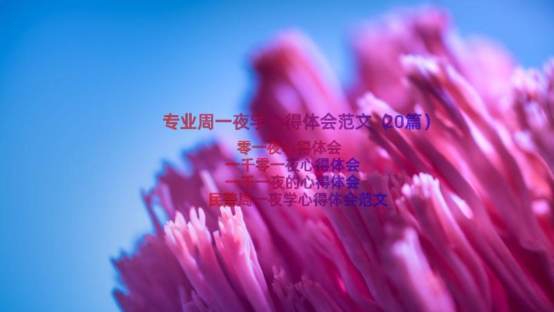 专业周一夜学心得体会范文（20篇）