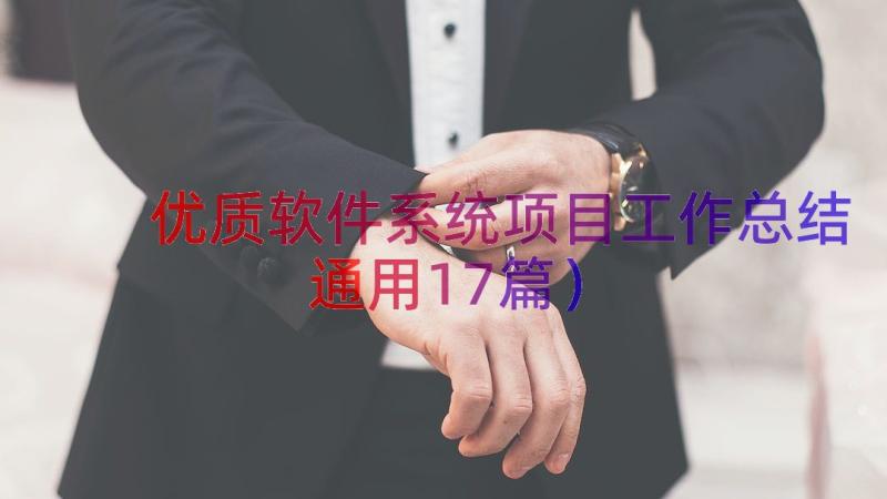 优质软件系统项目工作总结（通用17篇）