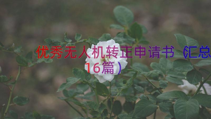 优秀无人机转正申请书（汇总16篇）