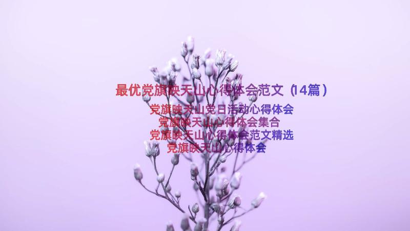 最优党旗映天山心得体会范文（14篇）