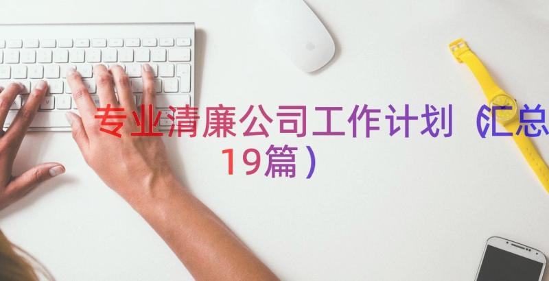 专业清廉公司工作计划（汇总19篇）