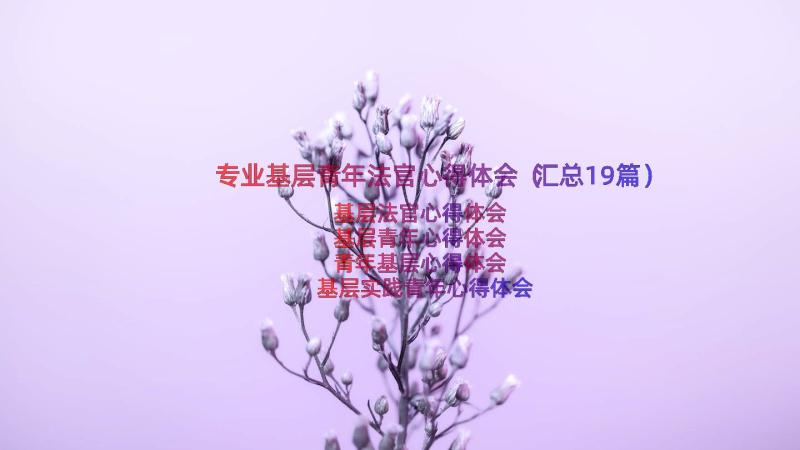 专业基层青年法官心得体会（汇总19篇）