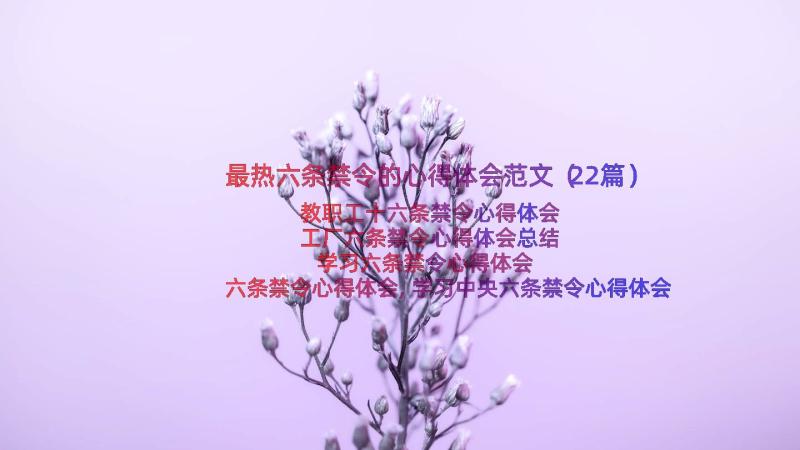 最热六条禁令的心得体会范文（22篇）