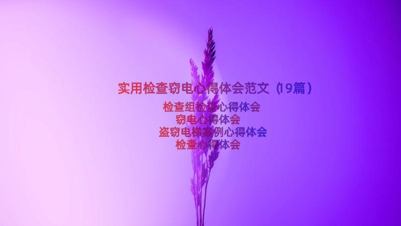 实用检查窃电心得体会范文（19篇）