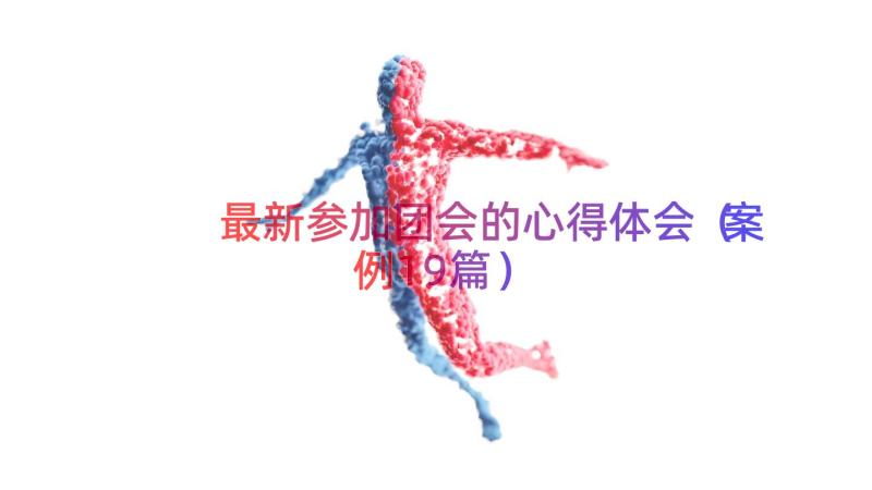 最新参加团会的心得体会（案例19篇）