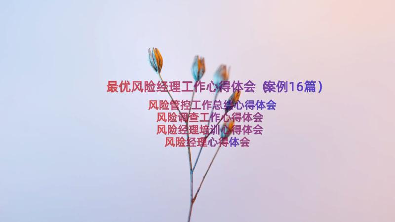 最优风险经理工作心得体会（案例16篇）