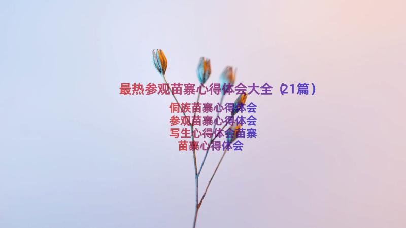 最热参观苗寨心得体会大全（21篇）