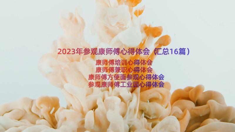 2023年参观康师傅心得体会（汇总16篇）