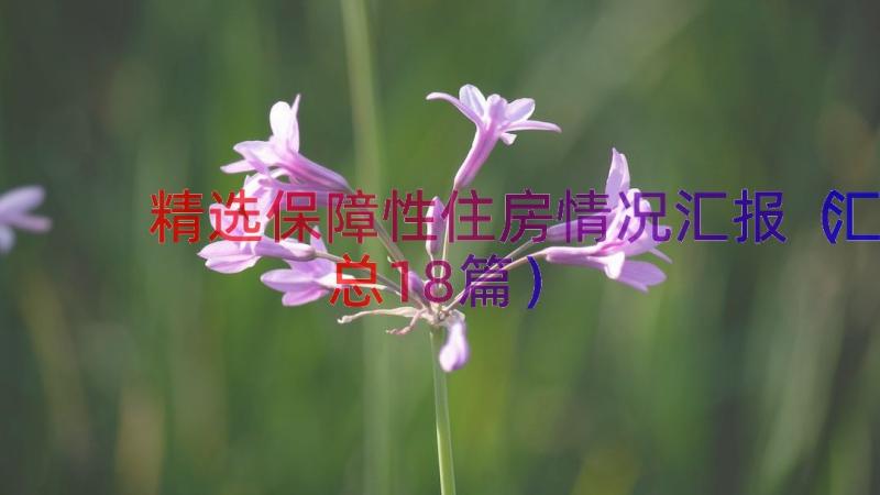 精选保障性住房情况汇报（汇总18篇）