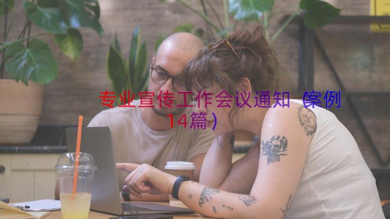 专业宣传工作会议通知（案例14篇）