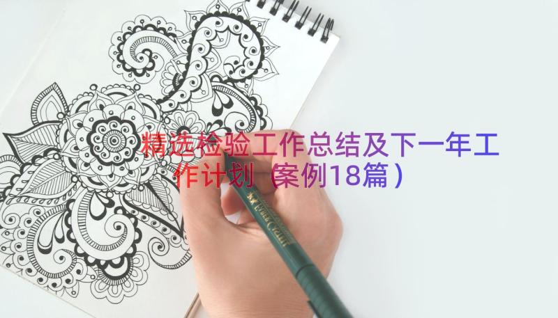 精选检验工作总结及下一年工作计划（案例18篇）