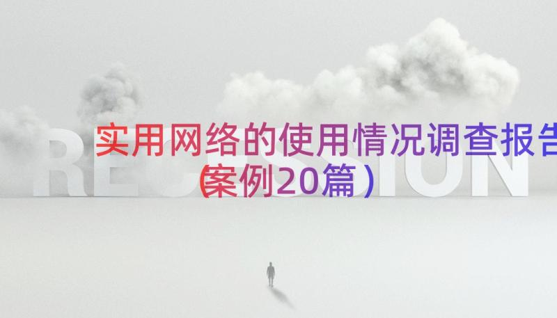 实用网络的使用情况调查报告（案例20篇）