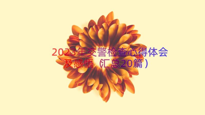 2023年交警检查心得体会及感悟（汇总20篇）