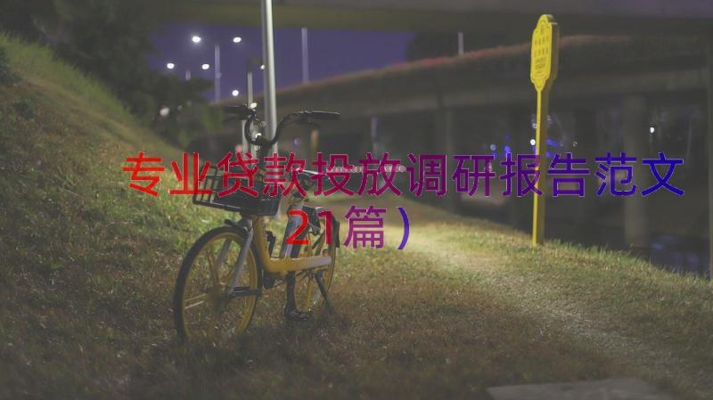 专业贷款投放调研报告范文（21篇）