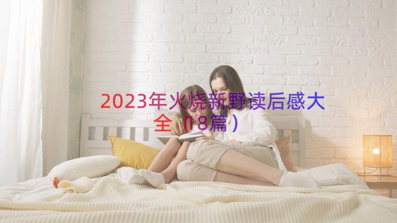 2023年火烧新野读后感大全（18篇）