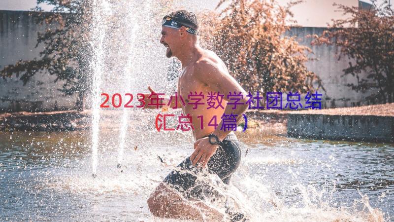 2023年小学数学社团总结（汇总14篇）