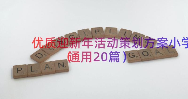 优质迎新年活动策划方案小学（通用20篇）