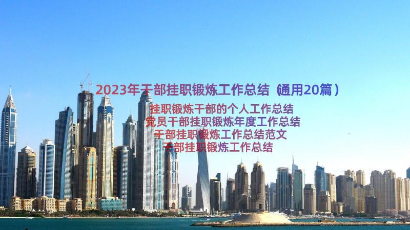 2023年干部挂职锻炼工作总结（通用20篇）