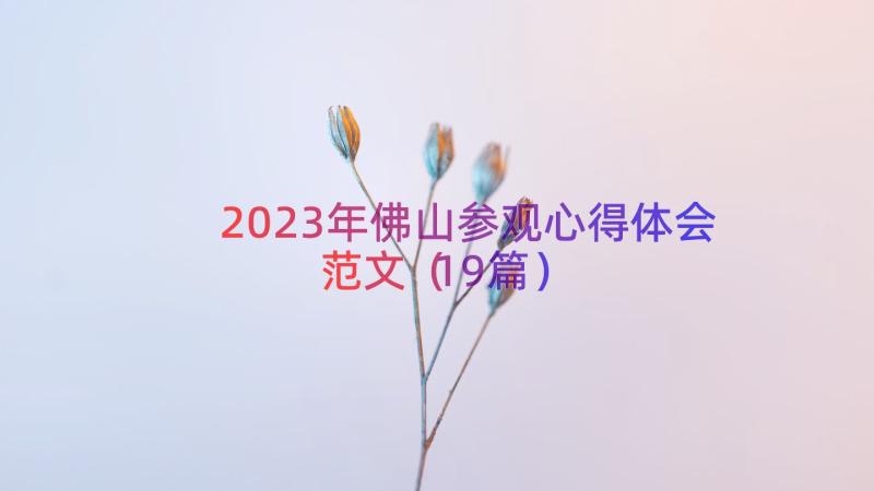 2023年佛山参观心得体会范文（19篇）