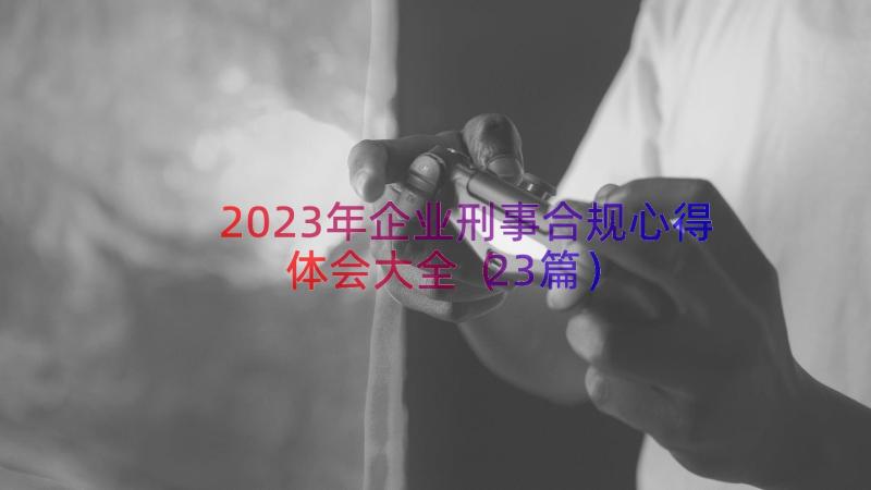 2023年企业刑事合规心得体会大全（23篇）