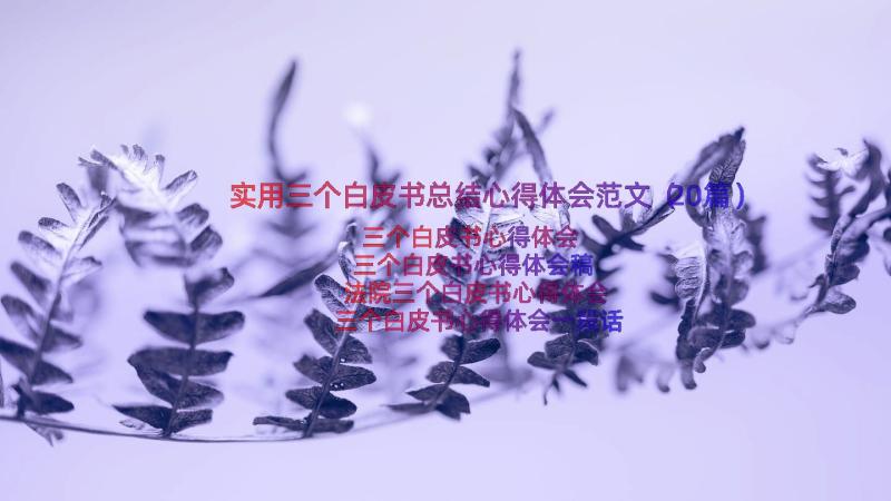 实用三个白皮书总结心得体会范文（20篇）