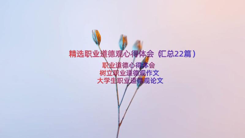 精选职业道德观心得体会（汇总22篇）