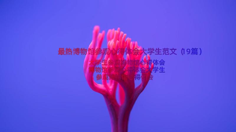 最热博物馆参观心得体会大学生范文（19篇）