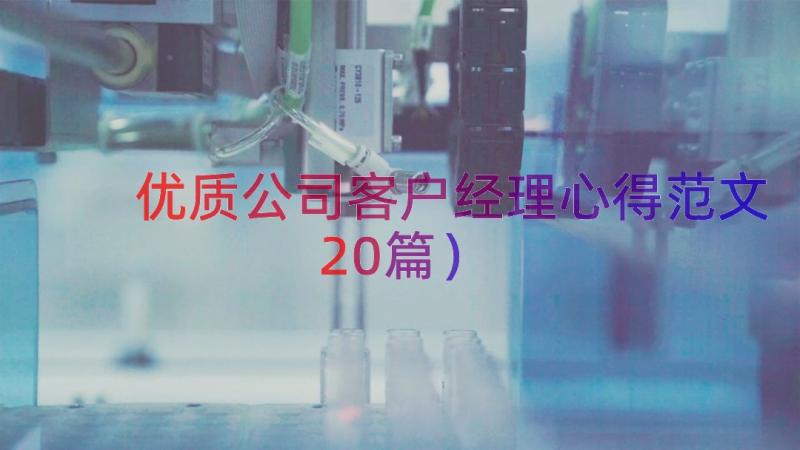 优质公司客户经理心得范文（20篇）