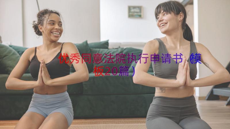 优秀同意法院执行申请书（模板20篇）